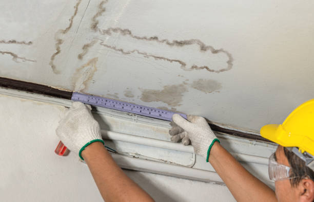 Reliable Water Damage contractor in Greenville, SC by Water Damage Irwin